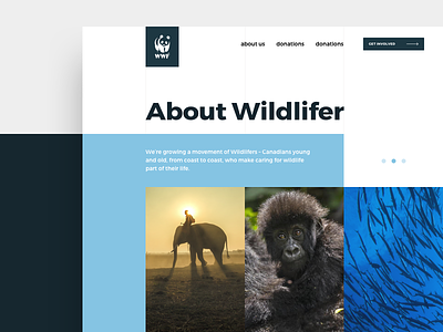 WWF Website Redesign e commerce informational graphic interface landing page mobile money spent monthly graph responsive layout ui ux web website design
