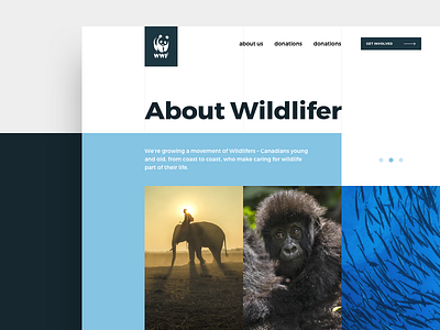 WWF Website Redesign