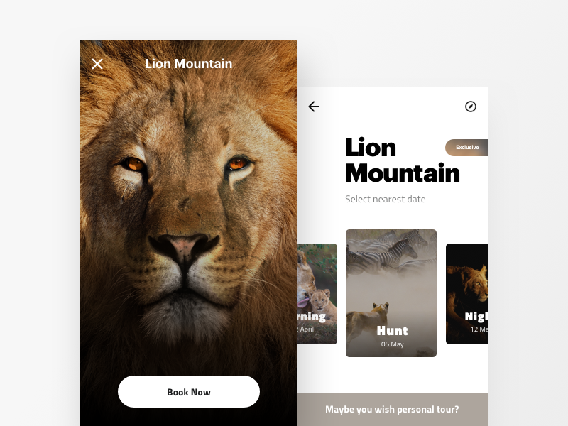 Mobile Application for Safari Tour Operator by Ergonized on Dribbble