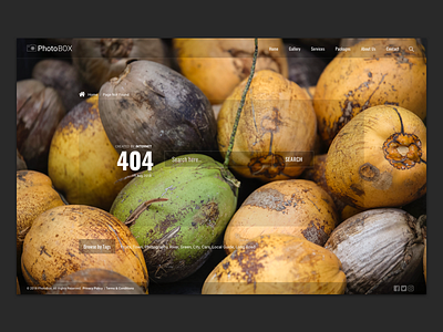 404 Webpage 404 website
