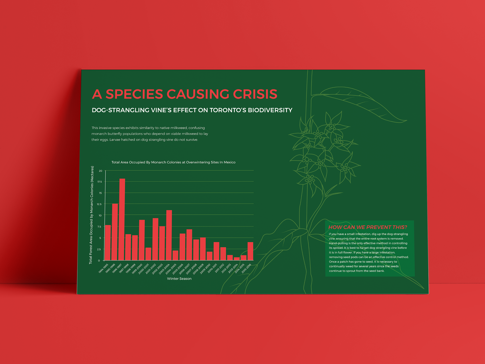 infographic-invasive-species-of-toronto-by-sarah-pronio-on-dribbble