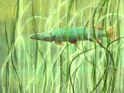 Happy Predator creature fish lake pike water weeds