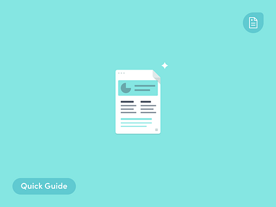 Quick Guide alliioop blog doc ecommerce illustrations quick guide