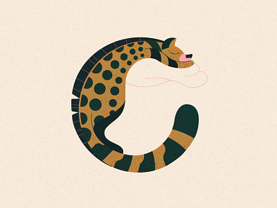 Civet cat