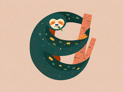 Letter E 36daysoftype animal character design illustration letter sloth typogaphy vector