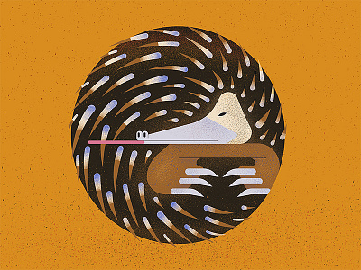 Echidna (letter O) 36 days of type 36daysoftype animal australia character design flat illustration letter typogaphy vector