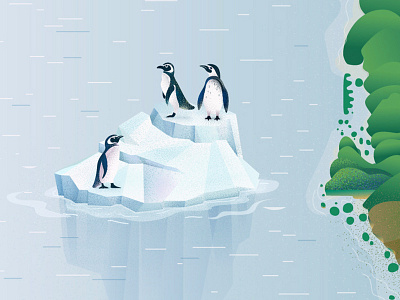 Pinguin art character design iceberg illustration isle ocean penguin vector