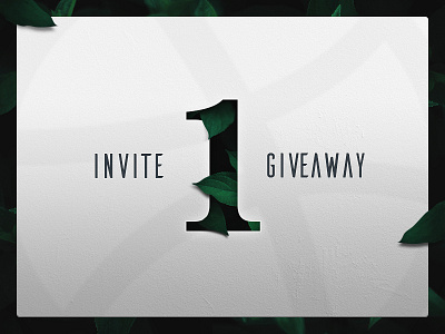 1 invite to giveaway