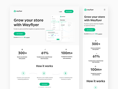 Landing page - Grow your store with Wayflyer ecommerce landing page trustpilot wayflyer woocommerce