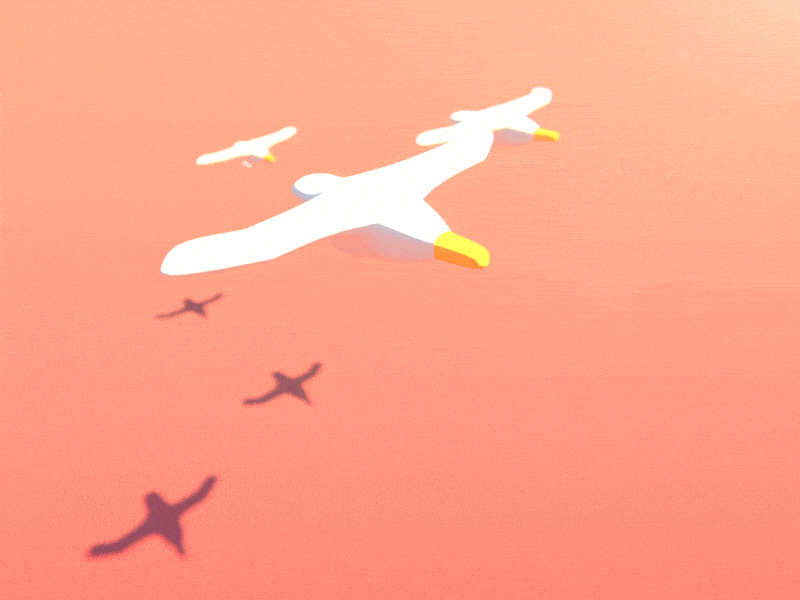As The Seagull Flies 3d 3d animation 3d character animation blender3d character gif seagulls