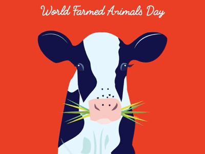World Farm Animal Day animals cow vegan vegetarian