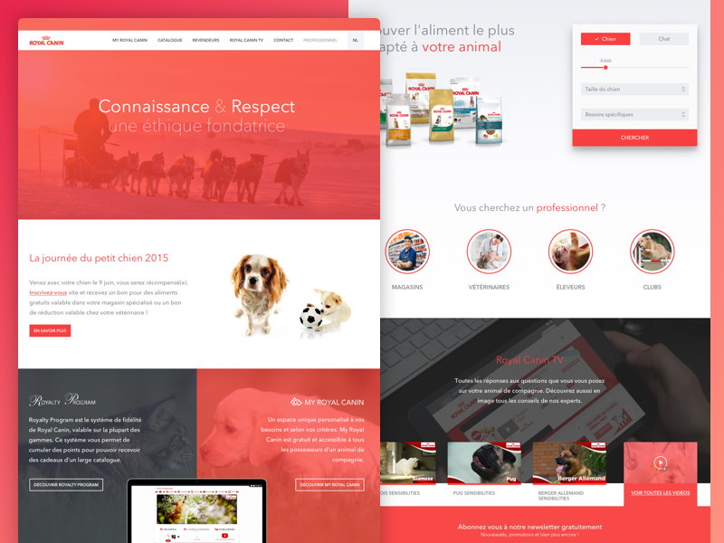 Royal Canin Corporate website food royal canin cats red design webdesign web pets cat dog royalcanin website