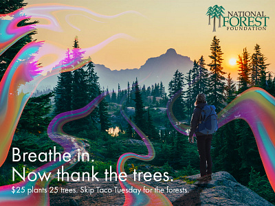 National Forest Association Ad advertisement design