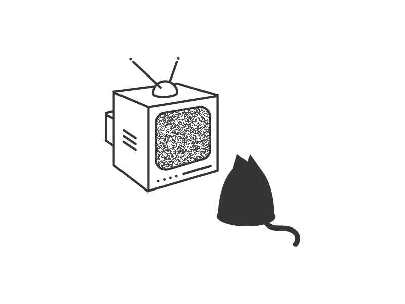 The show blackcat cat design illustration motion television whitenoise