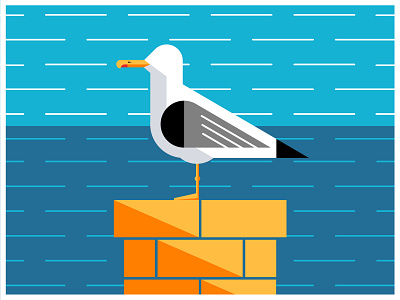 Seagull design illustration illustrator ivodoide ivogeorgiev vector
