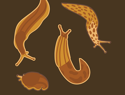 Slugs design flat art graphic design illustration nature slugs vector