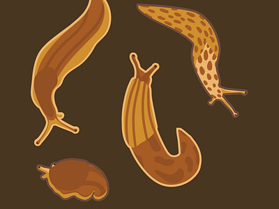 Slugs design flat art graphic design illustration nature slugs vector