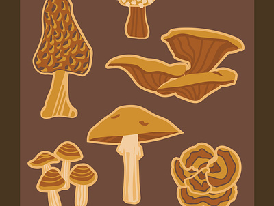 Mushrooms flat art flat design graphic design illustration morel mushroom nature vector