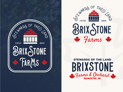 BrixStone Logo Design