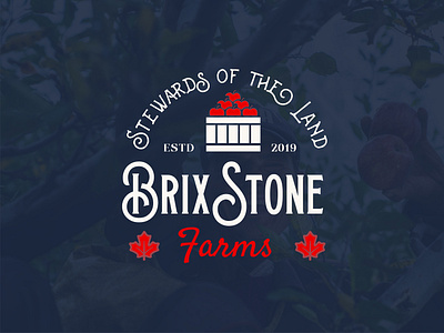 BrixStone Farms Logo brand brand design branding design digital art farms graphic design logo logo design logos orchard