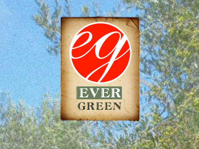 Dribble evergreen logo