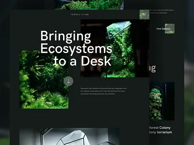 Terraliving -Terrarium Landing Page clean ecosystem homepage landing page minimalism minimalist plant simple terrarium ui ux web design website workspace