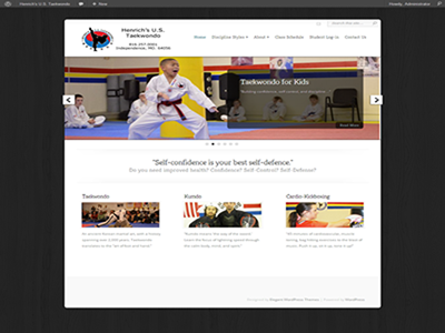 Henrich S U.S. Taekwondo martial arts small business taekwondo wordpress