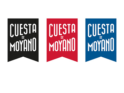 Asociación de Libreros de la Cuesta de Moyano (Fictional) art direction branding design graphic art graphic design logo rebranding ui ux web