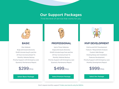 Support Pricing Packages