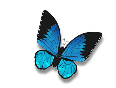 Beautiful Butterfly art artist branding design designer graphicdesign illustration logo procreate