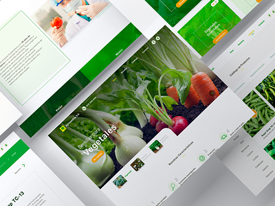 Agrosemillas WebSite branding catalogue corporate design guatemala iconography prototype seeds typography ui ux web web design webdesign website