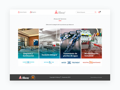 Alkemy E-commerce Cover Page