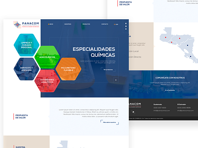 Panacom WebSite blue branding chemical chemistry design designer guatemala hexagons home homepage quimicos ui ux web web design webdesign website