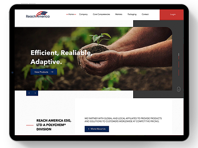 Reach America brand design guatemala prototype ui ux web web design webdesign website