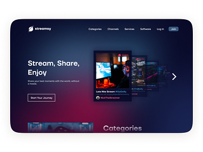 Stream Platform Branding Design | 99 Series