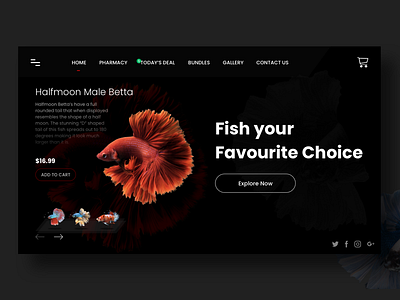 Fish Only Landing Page