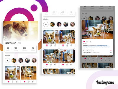 Instagram Profile Redesign Concept