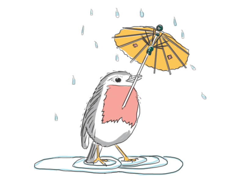 Robin Birdy in the Rain birdy rain robin umbrella