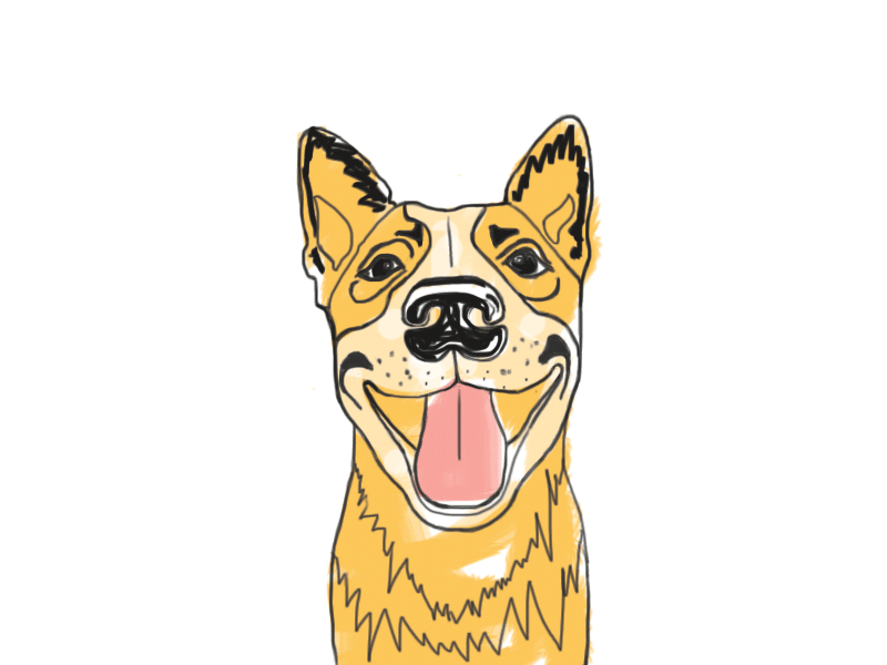 Dog catching a frisbee dog frisbee gif gold illustration photoshop brush sketchy