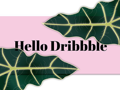 Hello Dribbble! excitedtobehere hellodribble welcome