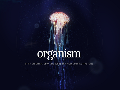 personal project design homepage jelllyfish sea splash typography water web website