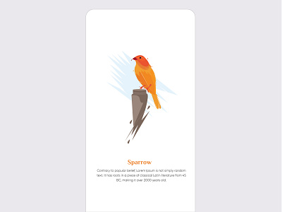 Sparrow