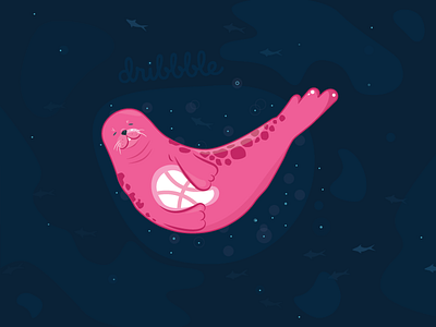 Seal vector illustration - Hello Dribbble!