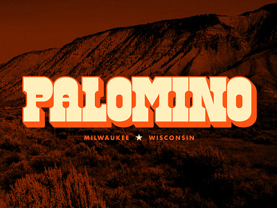 Palomino Rebrand - Logotype