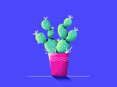Mexican Cactus cactus digital flat illustration mexican plants texture