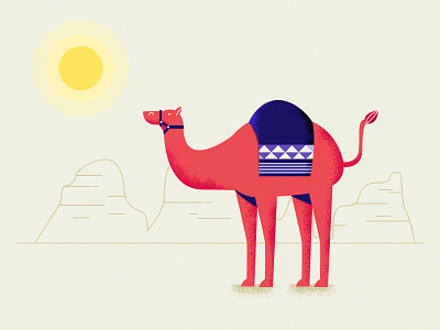 Camel Dreams camel desert flat illustration line petra sunny vector