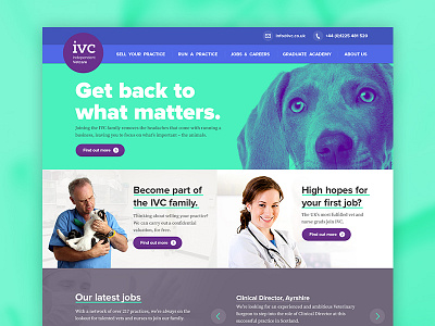 IVC art direction branding design digital interaction web web design