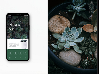 Resilience Plants app green plants seed succulent