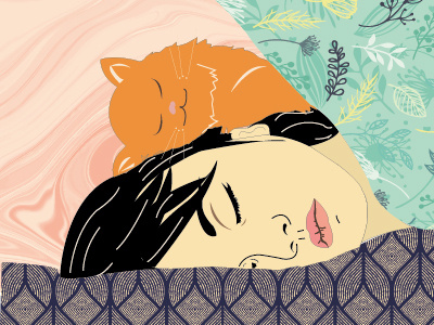 Cats bed cat colors dream girl kitty love sleepy textures