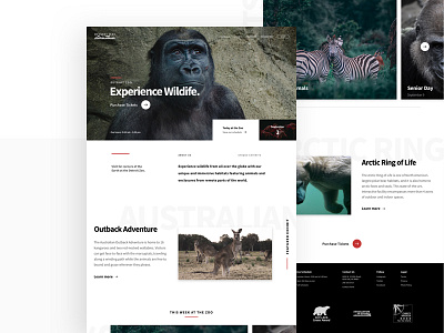 Zoo homepage